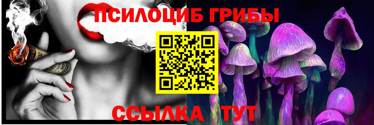 где можно купить   Псилоцибиновые грибы Magic Shrooms  Вход с VPN  Амурск 